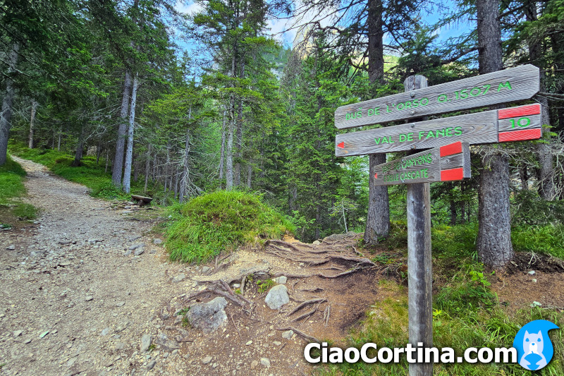 The crossroads of the Buš de l'orso