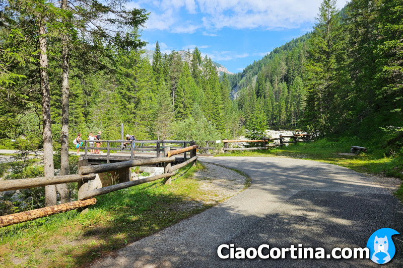 Ponticello sulla strada che si addentra nel bosco