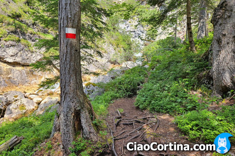 The marker shows the way along the trail