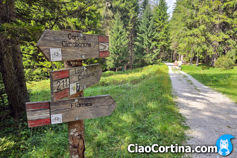 Incrocio per Lago Ghedina lungo il sentiero 211