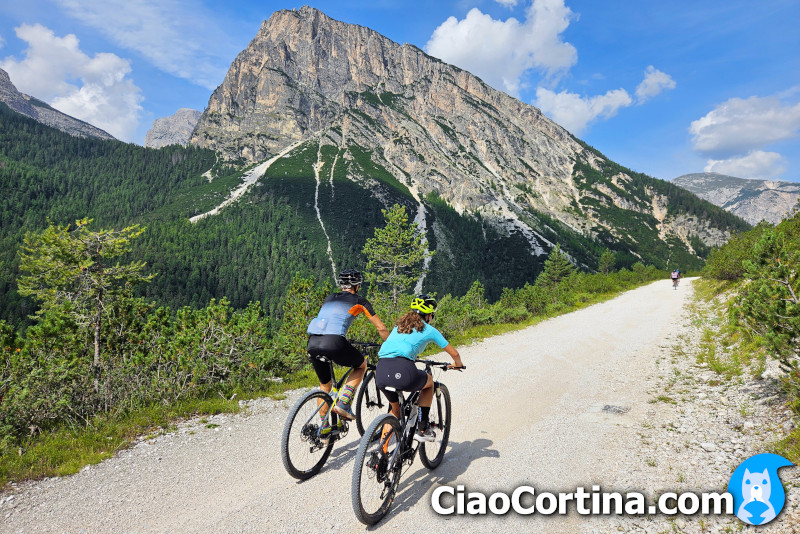 Panorama sul Col Rosà