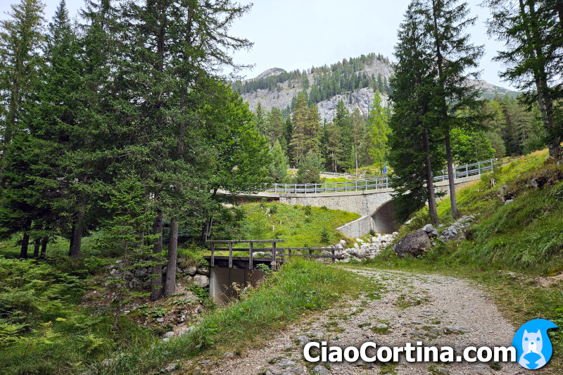 Strada statale si staglia sopra il sentiero