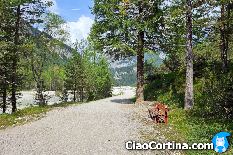 The road which runs along the banks of the Boite River