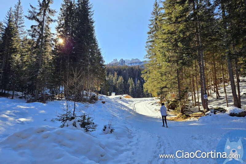 Tratto finale della strada verso il Lago d'Ajal