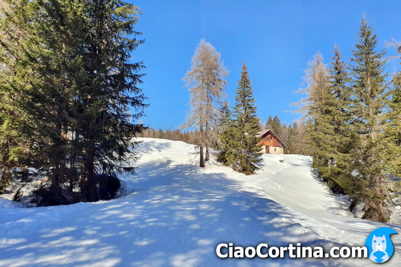 Fedarola huts with snow